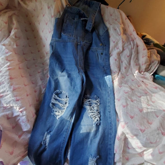 Overalls - Picture 1 of 4